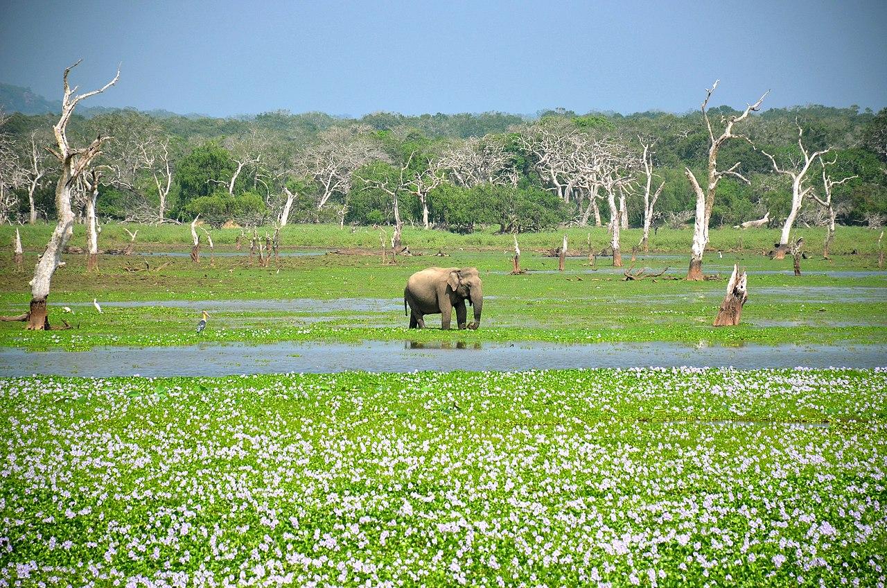 Southern Province, Sri Lanka